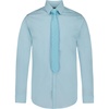 Light Teal