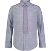 Violet Plaid